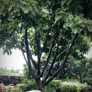 쉬는팡 하우스 이미지