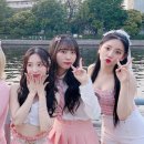 핑크판타지 카카오 검색결과