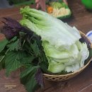 하노이 미딩맛집들 I 분짜 27 I 교민피셜 추천만 받고 못먹은곳들도 소개