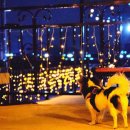 동호펜션 이미지