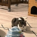 GS25제주애월점 이미지