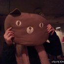 게으른고양이 이미지