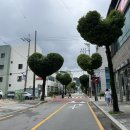신경길L 네이버블로그