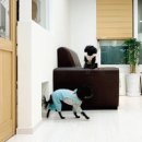 개편한세상 이미지