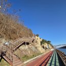 아라마루 이미지