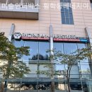 머슬 인 이미지