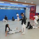 제일경희태권도 이미지