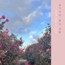 슬기로운 초록생활 이미지