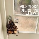 빨간스푼 | 데일리룩에 귀여움 한 스푼! 헬로키티 파우치 미니가방 핑크 실물 후기!