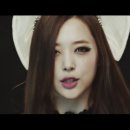 레드라이트(Red Light)
