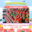 🐟신안 가볼만한곳 추천, 신안젓갈타운, 소량 구입도 가능