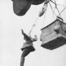 종로하루 이미지