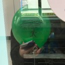 정민타운 | 100일이면 곰도 사람이 되고 7일이면