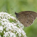 YJ 골프존GDR 스크린연습장(삼봉점) 이미지