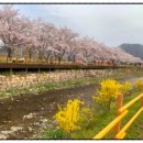 백양사 먹거리타운 이미지