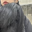 파리바게뜨 매봉역점