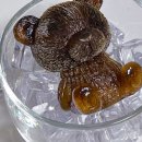 보나하우스 이미지