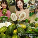 파파야모텔 이미지