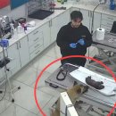 강아지나라동물병원 이미지