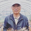 여섯시내족발 이미지