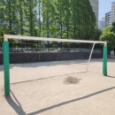 영덕초교 이미지