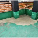 금성카서비스 이미지