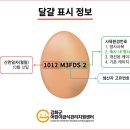 창신어린이집 | 냉장고 서랍 에그트레이 B형(에그32구) 스티커인쇄 납품후기