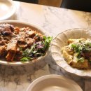 펫 뮤지엄 이미지