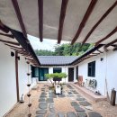 소소유유 이미지