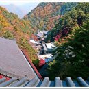 소백산자락길 제4코스 이미지