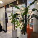 상남동294 이미지