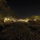 소나무세탁소 이미지