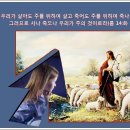 (주)처음 이미지