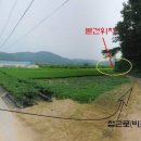 여주-0717 Daum카페