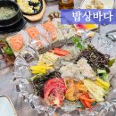 한아름뷔페식당 | 대전 물회 역대급 맛있던 밥상바다 (Ft.노은수산시장,야장)