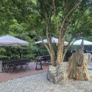 김삿갓면-35 이미지