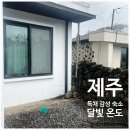 달빛온도 이미지