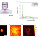 모아 광학 이미지