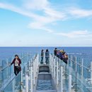 오륙도 스카이워크 이미지