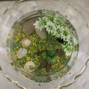 (주)지인약품 이미지