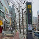 팀메디칼 | 해운대 장산역 헬스 팀터틀랫 후기