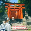 미화장식 | 교토 가면 꼭 가야 할 후시미 이나리 신사 천 개의 도리이길 직접 걸어본 솔직 후기