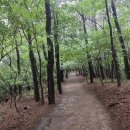 신라해장국 (장안점) | 수원 광교산(光敎山 시루봉 582m) 2026. 08. 22.