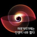 머뭇거리기엔 인생이 너무 짧다 이미지