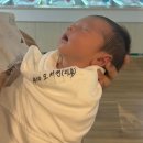 동실농장 | ღ˘⌣˘ღ / 모유수유 유축 후기 / 지인작명연구소 작명후기 / 슬기로운 조리원생활 : 소피아산후조리원