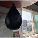대한권투 체육관 이미지