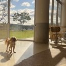 푸르댕댕 이미지