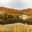 장수송학골로 이미지