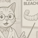 서울한스치과의원 이미지