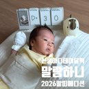 마음달력 | 신생아 디데이 달력 추천 말랑하니 2026 말띠 에디션 내돈내산 구매후기
